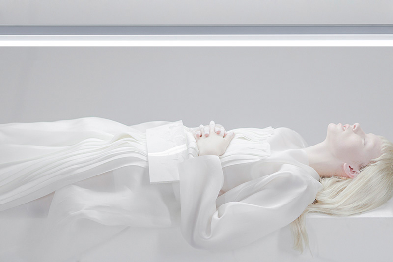 Image courtesy of Paul Jung
