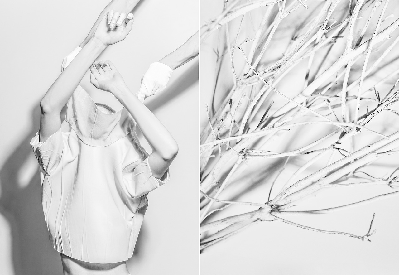 Image courtesy of Paul Jung
